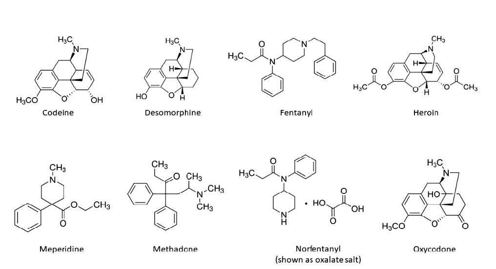 fig1opiods