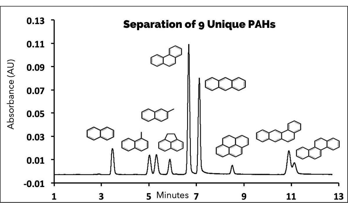 uniquepahs1