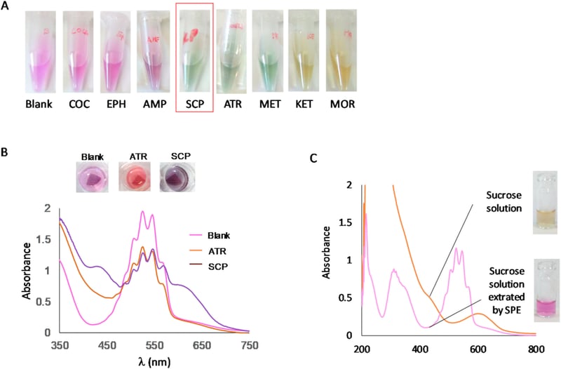 Fig 2 - 2021 - JornetMartinez et al