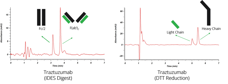 HPLC_2025_Fig_5